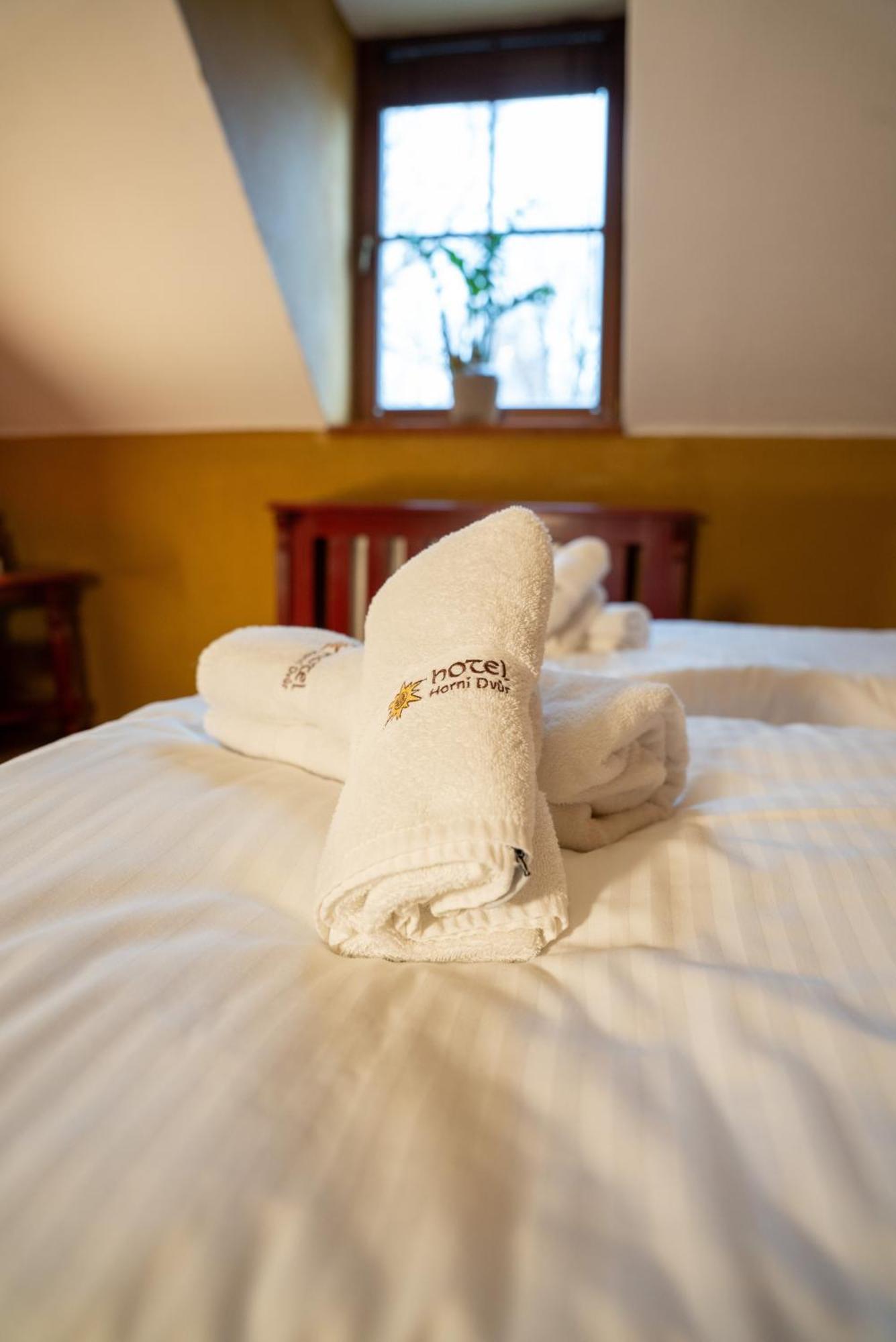 Hotel Horni Dvur Nove Mesto na Morave Exterior photo